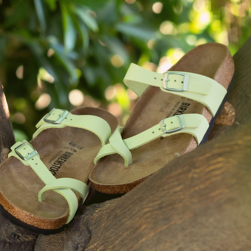 MAYARI - LIME SBIADITO - NABUK
